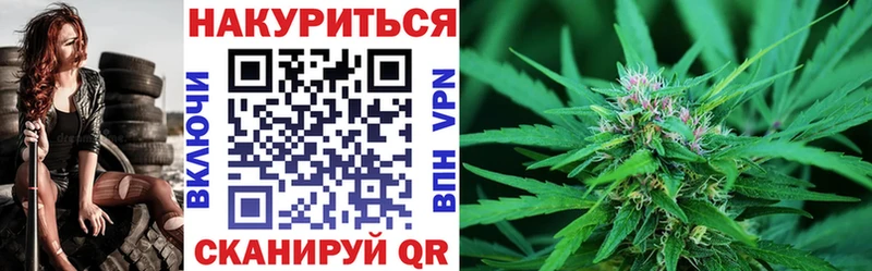 Канабис план  Волгореченск 